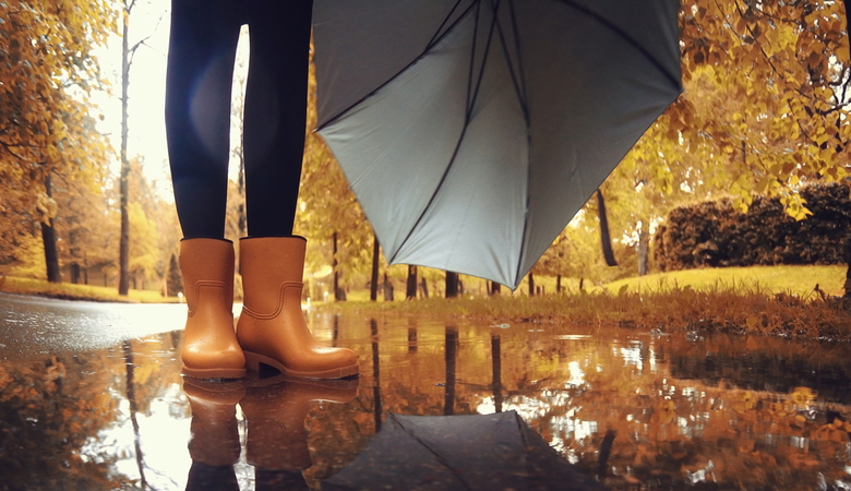 My-Boutique - Wellington Boots